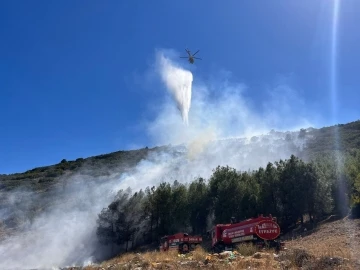 Burdur’da orman yangını
