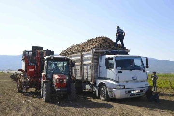 Burdur’da şeker pancarı hasadı sürüyor
