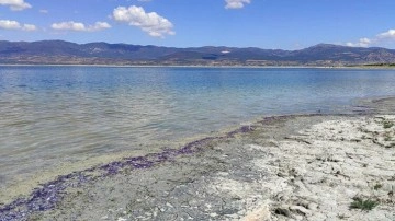 Burdur Gölü sahili mor renge büründü! Bakterilerinin renk değişimine yol açtığı belirlendi