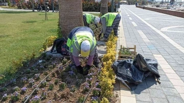 Burhaniye’de 60 bin çiçek dikildi
