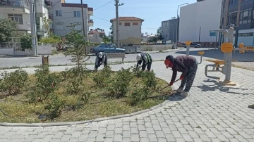 Burhaniye’de yabani otlar temizleniyor
