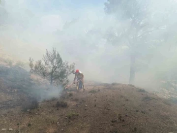Burhaniye’deki orman yangını kısa sürede kontrol altına alındı
