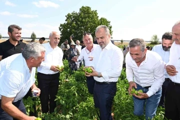 Bursa Büyükşehir’in çiftçiye desteği sürüyor
