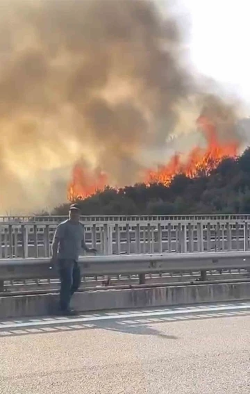 Bursa’da barakadan çıkan yangın zeytinlik alana sıçradı
