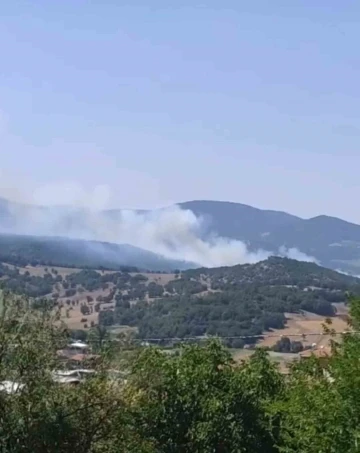 Bursa’da orman yangını çıktı, havadan ve karadan müdahaleler başladı
