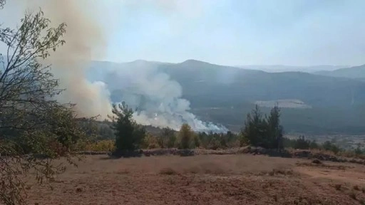 Bursa'nın 2 ilçesinde orman yangını