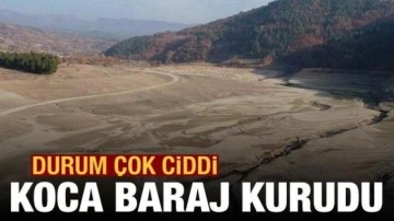 Bursa'daki Nilüfer Barajı kurudu; Doğancı Barajı da risk altında