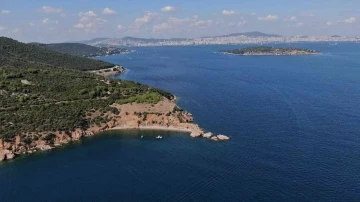 Büyükada’da dalyan dolandırıcılığı
