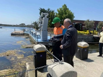 Büyükçekmece Dalyan’da yosun temizliği devam ediyor
