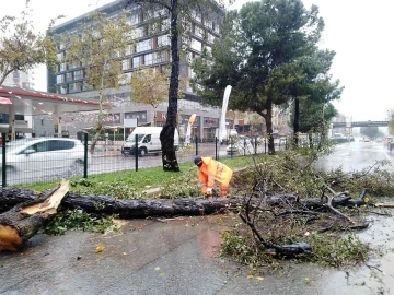 Büyükşehirin fırtına mesaisi
