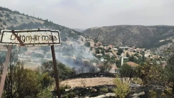 Çal’daki orman yangını kontrol altına alındı
