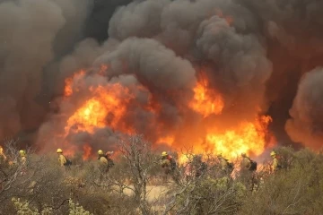 California’da orman yangınları sürüyor
