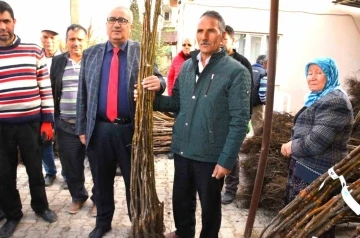 Çameli’nde ceviz üretimini artırmak için fidan desteği verilecek
