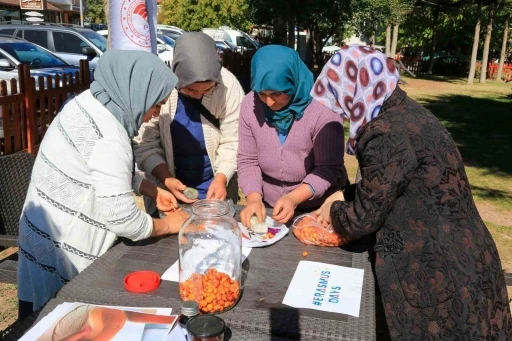 Çameli’nde kadınlara doğal yollarla ‘alıç sirkesi’ yapımı eğitimi
