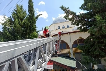 Caminin kubbesinden uçamayan leyleği itfaiye kurtardı
