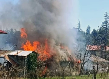 Çamlıyayla'da ev yangını