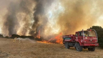 Çanakkale’de ağaçlık alanda yangın
