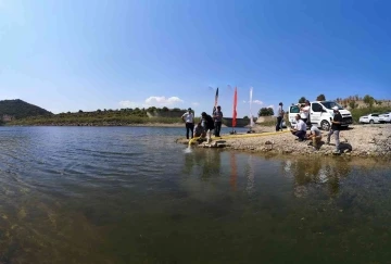 Çanakkale’de baraj ve göletlere 1 buçuk milyon sazan balığı yavrusu bırakıldı
