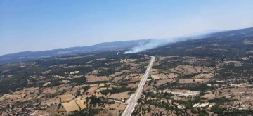 Çanakkale’de kaza yapan araç orman yangınına neden oldu
