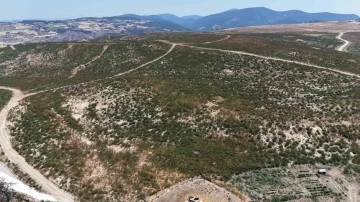 Çanakkale’de küle dönen alanlar yeniden yeşeriyor
