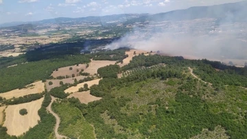 Çanakkale’de orman yangını
