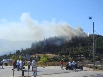 Çanakkale’de orman yangını kontrol altına alındı
