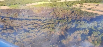 Çanakkale’deki orman yangını kontrol altına alındı
