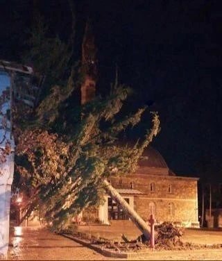 Çankırı’da şiddetli fırtına ağacı kökünden söktü
