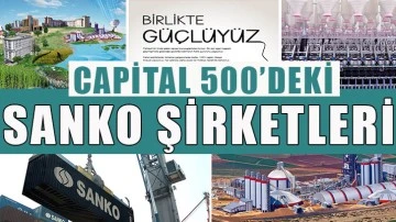 Capital 500’deki SANKO şirketleri