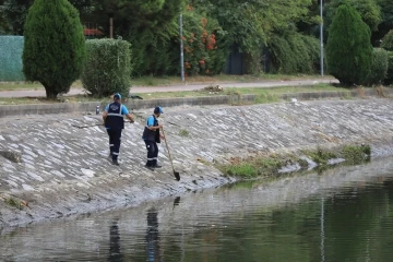 Çark Deresi ve çevresi temizlendi
