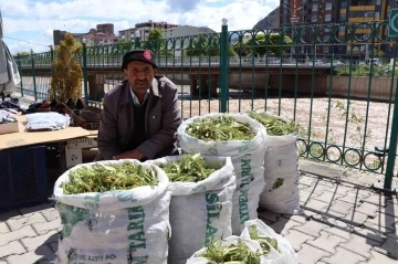 Çaşır’ın kilosu 40 liradan satılıyor
