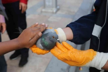 Çatıda asılı kalan güvercini itfaiye ekipleri kurtardı
