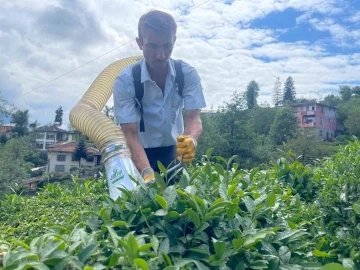 Çay toplamayı kolaylaştıran Rizeli şimdi de kesilen çayları taşıma sorununu çözdü
