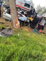 Ceylanpınar'da Otomobil Ağaca Çarptı: Sürücü Ağır Yaralandı