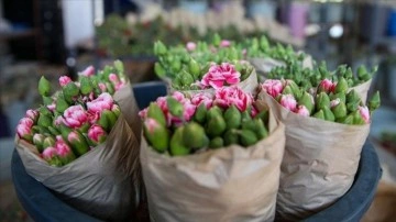 Çiçek sektöründe yüzler gülüyor: Yıl sonu ihracat hedefi 170 milyon dolar!