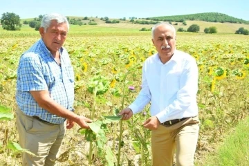 Çiftçiye sıfır faizli kredi üreticilere nefes aldıracak
