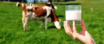 Çiğ süt üretimi azaldı
