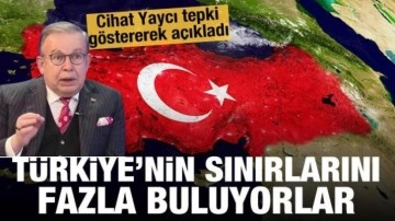 Cihat Yaycı tepki göstererek açıkladı: Türkiye'nin sınırlarını fazla buluyorlar