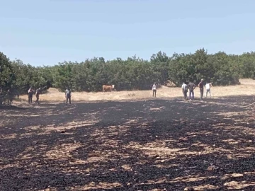 Çıkan anız yangını paniğe sebep oldu
