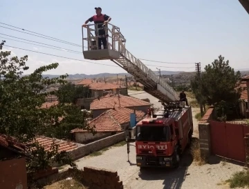 Çıktığı ağaçtan inemeyen kediyi itfaiye kurtardı
