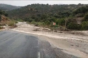 Çine'de sel: 4 büyükbaş hayvan kayboldu, traktör sel sularına kapıldı