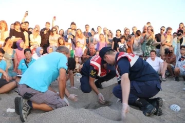 Çıralı'da caretta caretta turizmi