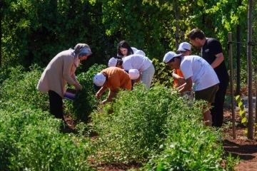 Çocuk Hobi Bahçesi ürün vermeye başladı
