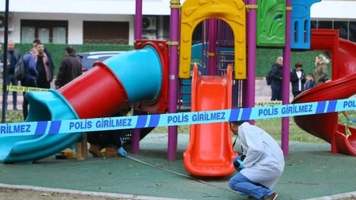 Çocuk parkında 'pompalı' dehşeti: 2 kardeş yaralandı!