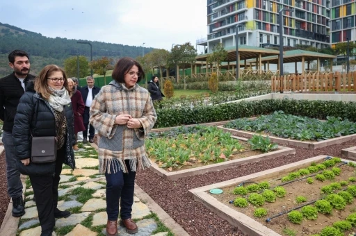 Çocuk Tarım Parkı hizmete açılmaya hazırlanıyor
