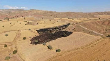 Çocukların ateşle oyunu pahalıya mal oldu, 50 dönüm buğday tarlası kül oldu
