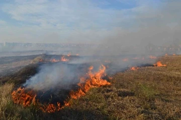 Çorlu’da 50 dönüm anız alev alev yandı
