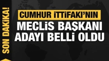 Cumhur İttifakı'nın Meclis Başkanı adayı belli oldu