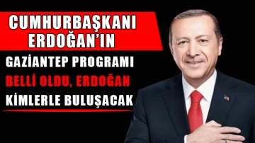 Cumhurbaşkanı Erdoğan’ın Gaziantep programı belli oldu, Erdoğan kimlerle buluşacak?