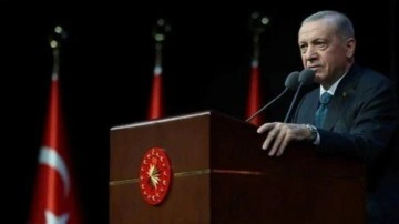 Cumhurbaşkanı Erdoğan: İş bilmezlik değil halk düşmanlığı var